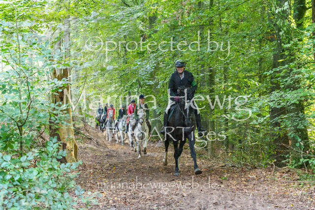 Jagd Perdoel_MarinaHewigMCH04772 | Fotografie, FotoArt, PferdesportArt, Pferdesportfotografie, Landschaftsfotografie, Reisefotografie, Reise, Pferde - Realisiert mit Pictrs.com