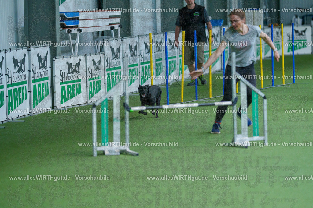 @allesWIRTHgut_Tierfotografie - www.allesWIRTHgut.de - 2604261515-7R505055 | Professionelle Tierfotografie in Mönchengladbach von Daniel Wirth (allesWIRTHgut). Liebevolle & natürliche Bilder von Hunden & Katzen für unvergessliche Erinnerungen.