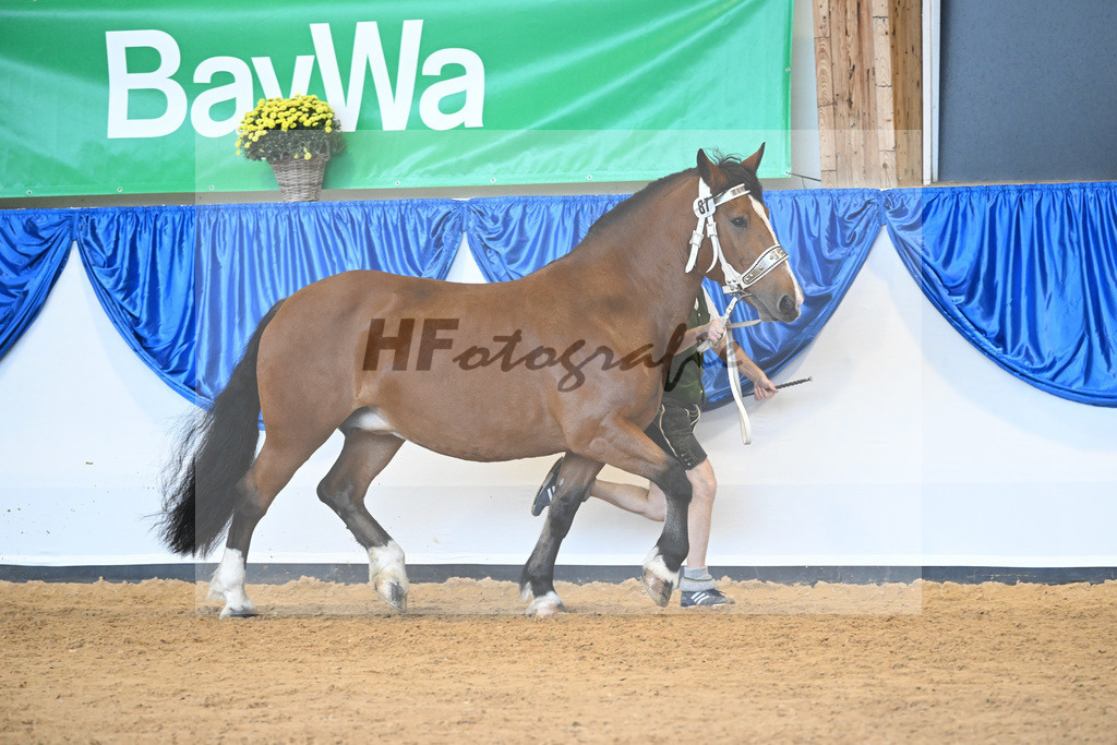 Kat-Nr. 87 Nanda_Langlechner_53220497 | hf-fotografie - Realisiert mit Pictrs.com