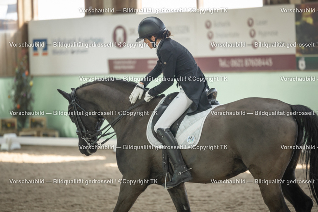 _D5A2206 | Emotionale Pferde- & People-Fotografie rund um Heidelberg, Leimen & Umgebung. Natürliche Fotos von Pferd, Mensch & Familie. Jetzt Termin sichern!