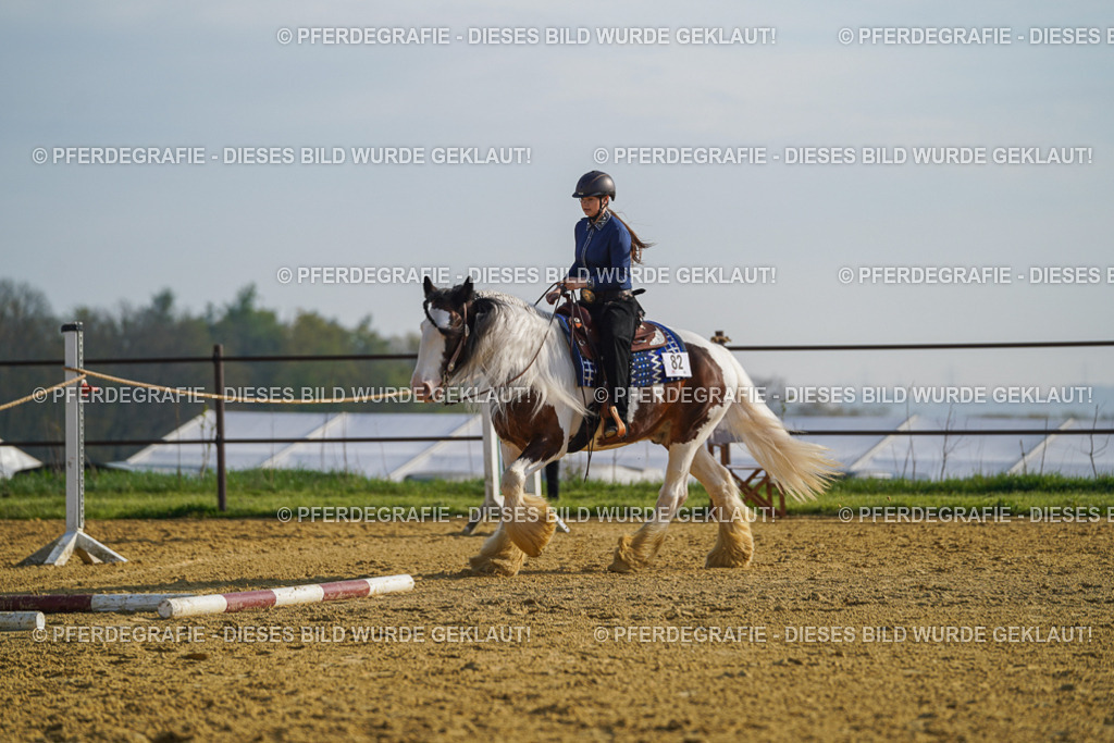 DSC00922 | Pferdegrafie