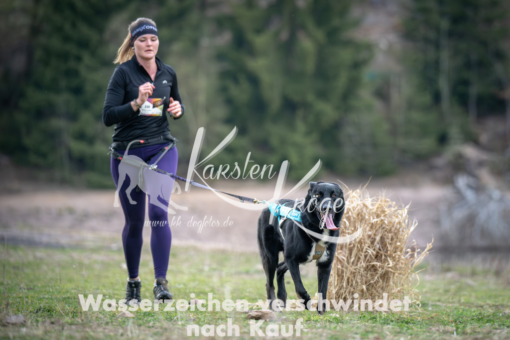 1816_ZZ95135 | kk-dogfotos