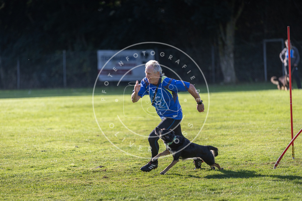 Pfotenfotografie.de_DV3A3351 | Hundefotografie, Tierfotograf, Pfotenfotografie, Fotoshooting Hund, Hunde Portrait, Hundesport, Hundeportraits, Heideshooting, Hunde, Sportfotograf, Hundefotograf, Turnierhundsport, THS, canicross - Realisiert mit Pictrs.com