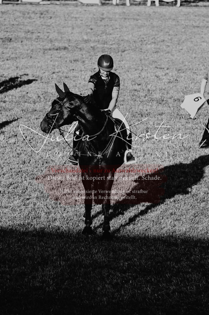 DSC_3276 | Pferde- und Turnierfotografie in Westsachsen. Pferdeportraits, Auftragszeichnungen und intuitive Kunst.