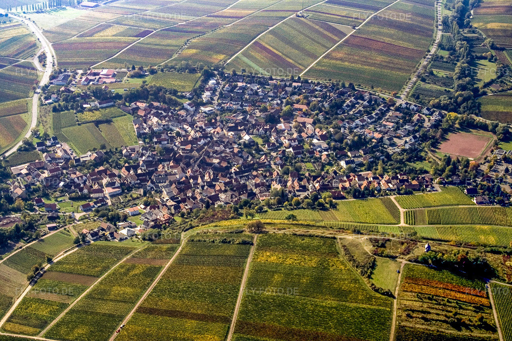 Luftbild: Winzerdorf von Osten in Ilbesheim bei Landau im Bundesland Rheinland-Pfalz in Deutschland. Foto: IMG_8333.jpg vom 07.10.2007 durch Werner Riehm/FLY-FOTO.de