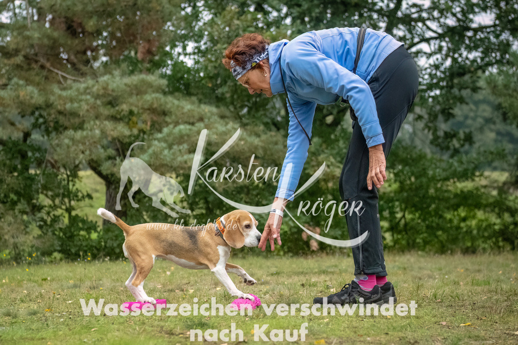 1045_ZZ93084-Bearbeitet | kk-dogfotos
