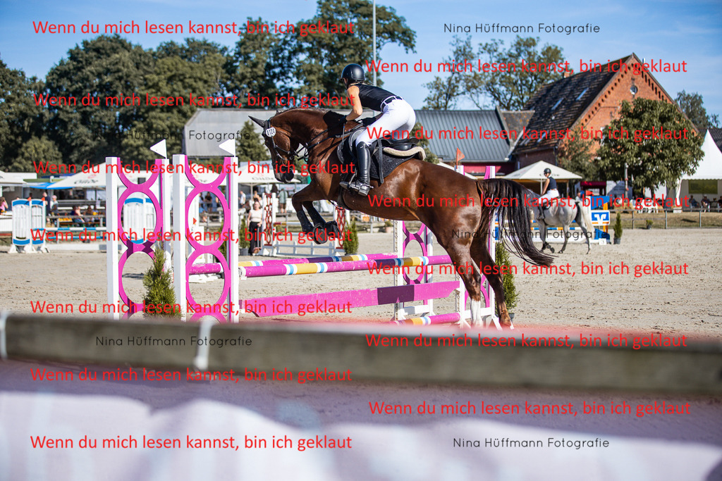 BK1A7304 | Turnierbilder Turnierfotos Nina Hüffmann Turnierfotografie Pferdefotografie Tierzeichnung Haustierzeichnung Pferdezeichnung Hundezeichnung Videograf  - Realisiert mit Pictrs.com
