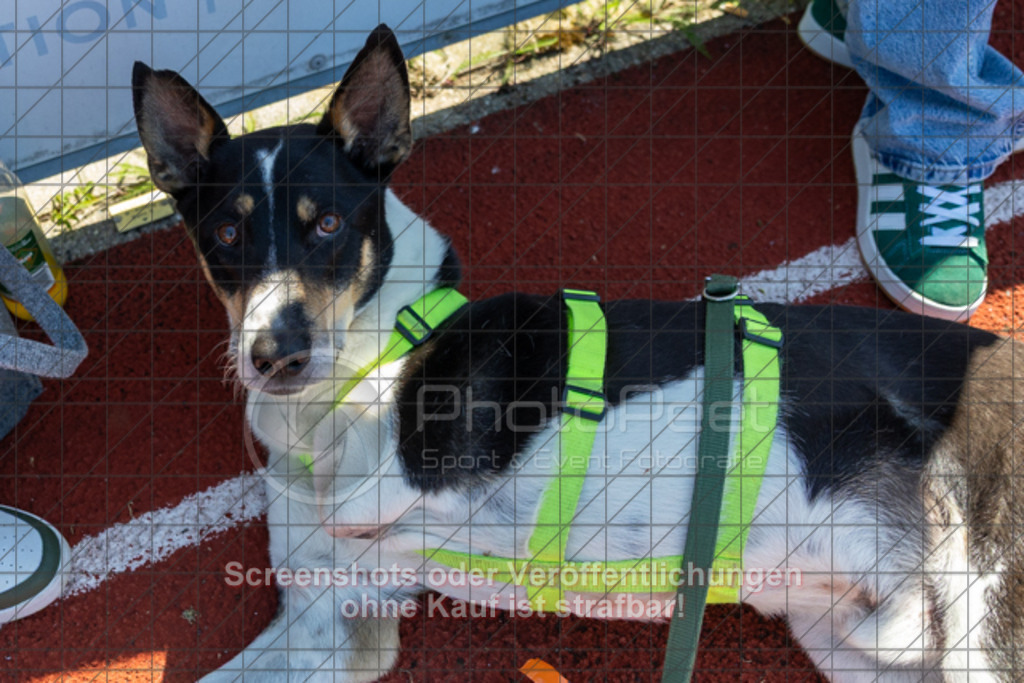 20250501_123536_0818 | #,1.FC Donzdorf II (rot) vs.1.Göppinger SV (weiß), Fussball, Frauen-Bezirkspokal Halbfinale Saison 2024/2025, Rasenplatz Lautertal Stadion, Süßener Straße 16, 73072 Donzdorf, 01.05.2025 - 10:30 Uhr,Foto: PhotoPeet-Sportfotografie/Peter Harich