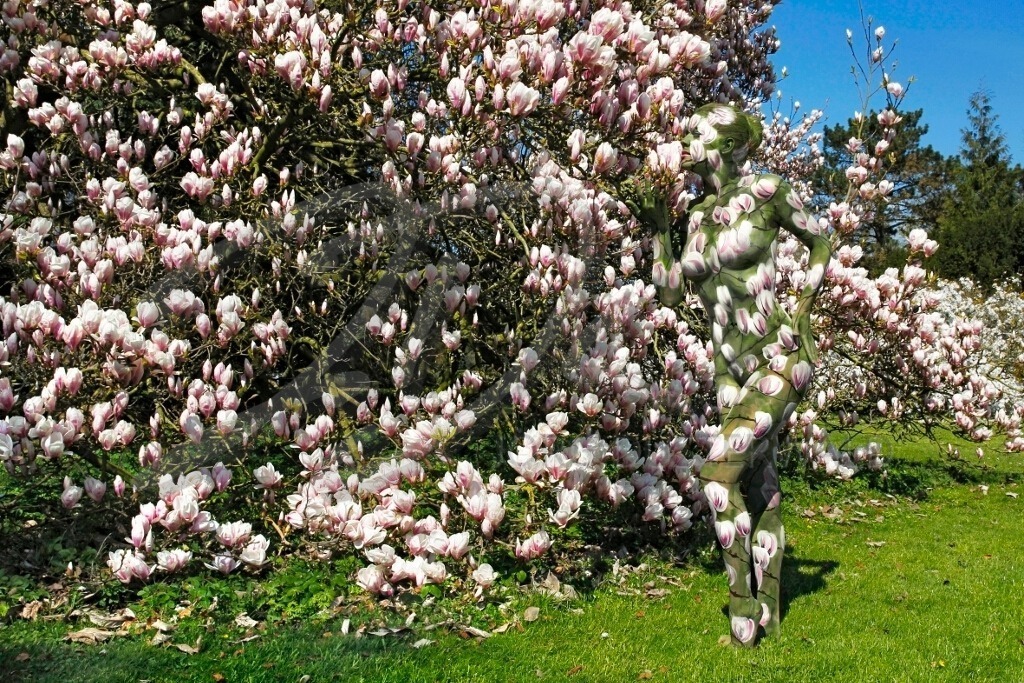 NatureArt-MAGNOLIEN_8457a | Einmal schnuppern bitte | #009 | Modell: Daniela | Foto: Tschiponnique Skupin - Realisiert mit Pictrs.com