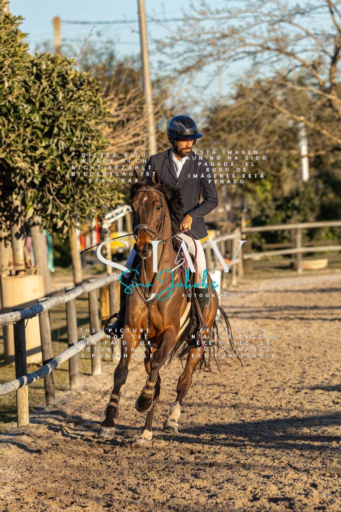 IMG_2923 | s-jay-photography - Realisiert mit Pictrs.com