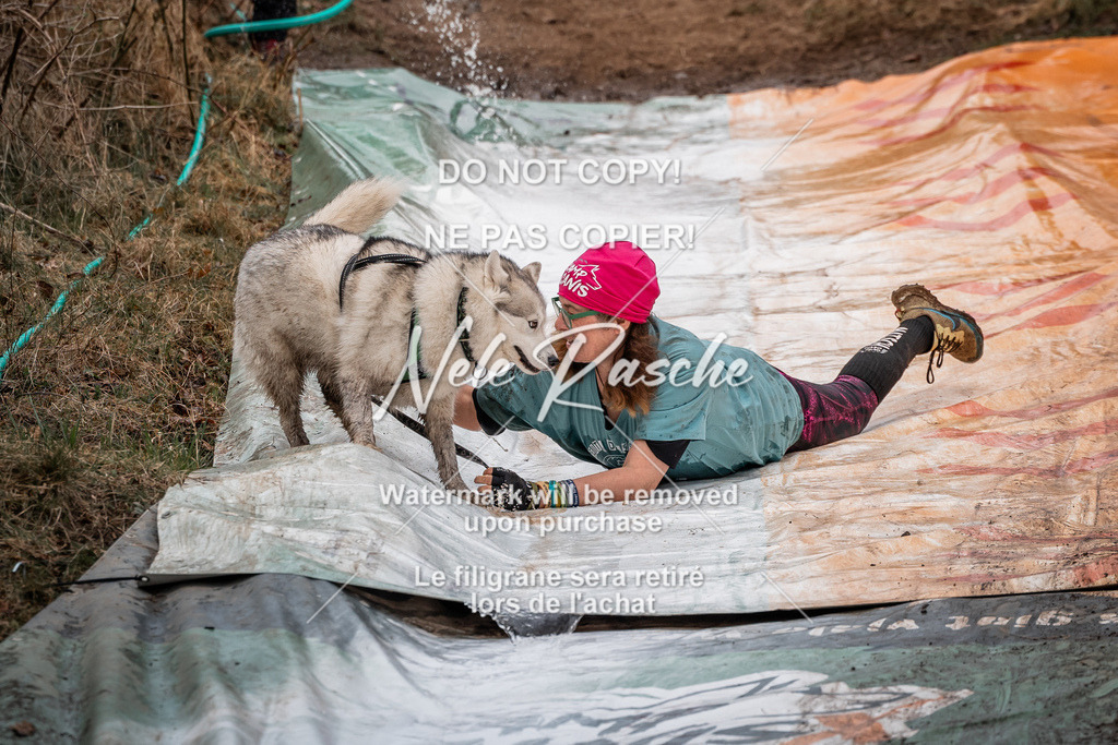 nelerasche_1330-1400_37 | nelerasche