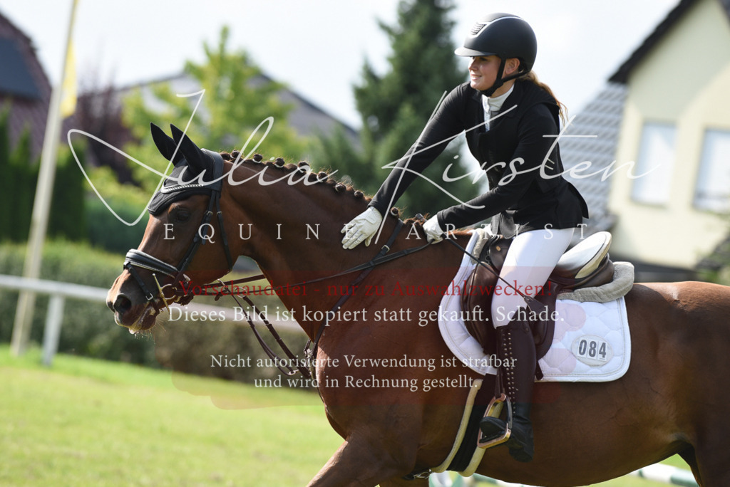 DSC_8793 | Pferde- und Turnierfotografie in Westsachsen. Pferdeportraits, Auftragszeichnungen und intuitive Kunst.