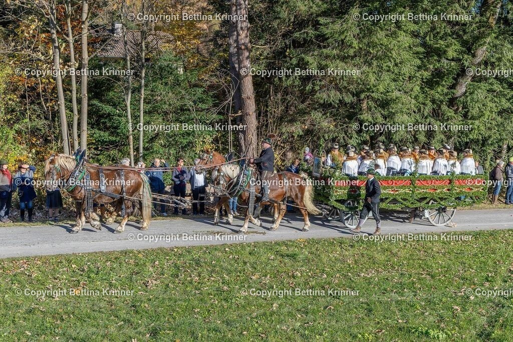 LBT25-249 | foto-bettina-krinner - Realisiert mit Pictrs.com
