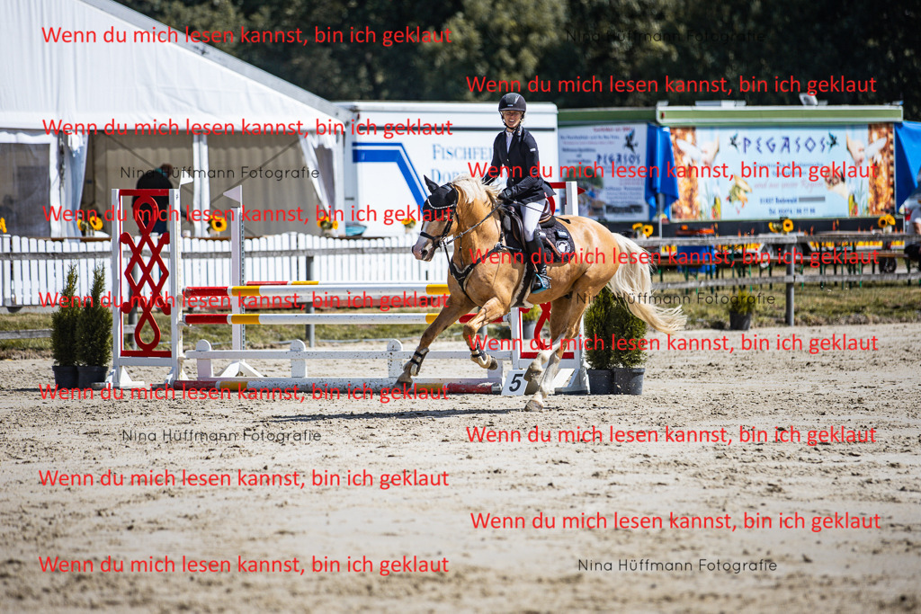 BK1A5185 | Turnierbilder Turnierfotos Nina Hüffmann Turnierfotografie Pferdefotografie Tierzeichnung Haustierzeichnung Pferdezeichnung Hundezeichnung Videograf  - Realisiert mit Pictrs.com