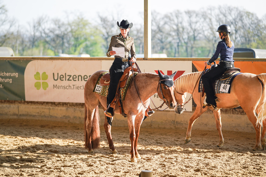 DSC09005 | Pferdegrafie