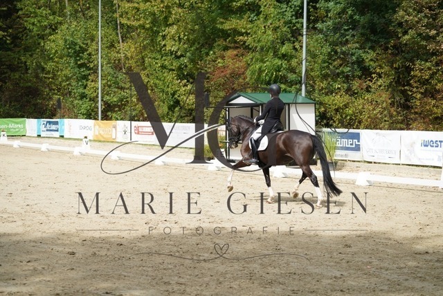 VAN02834 | Marie Giesen Fotografie - Realisiert mit Pictrs.com
