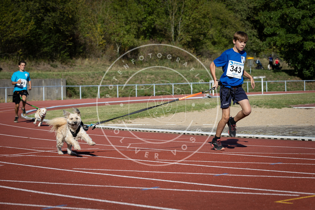 Pfotenfotografie_DV3A8501 | Hundefotografie, Tierfotograf, Pfotenfotografie, Fotoshooting Hund, Hunde Portrait, Hundesport, Hundeportraits, Heideshooting, Hunde, Sportfotograf, Hundefotograf, Turnierhundsport, THS,  - Realisiert mit Pictrs.com
