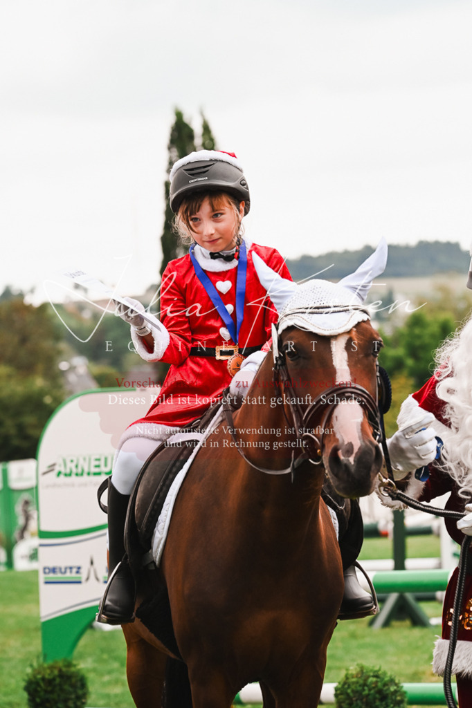 DSC_7641 | Pferde- und Turnierfotografie in Westsachsen. Pferdeportraits, Auftragszeichnungen und intuitive Kunst.
