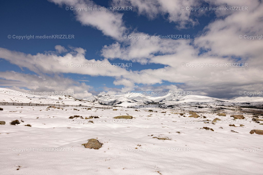 _J3A0840 | medienkrizzler - Realisiert mit Pictrs.com