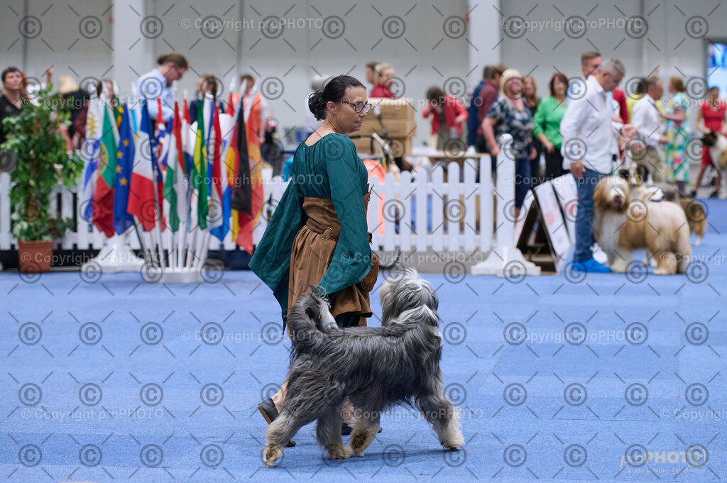 202406_ÖKV-IHA-Tulln24_DSC_3273 | proPHOTO - Realisiert mit Pictrs.com