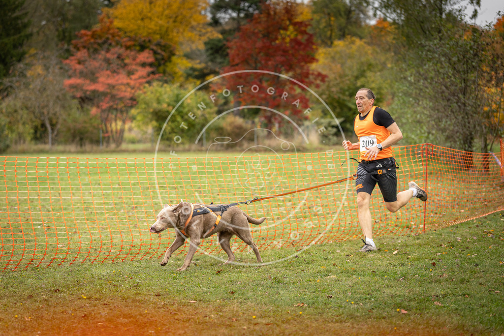 Pfotenfotografie_DV3A4001 | Hundefotografie, Tierfotograf, Pfotenfotografie, Fotoshooting Hund, Hunde Portrait, Hundesport, Hundeportraits, Heideshooting, Hunde, Sportfotograf, Hundefotograf, Turnierhundsport, THS,  - Realisiert mit Pictrs.com