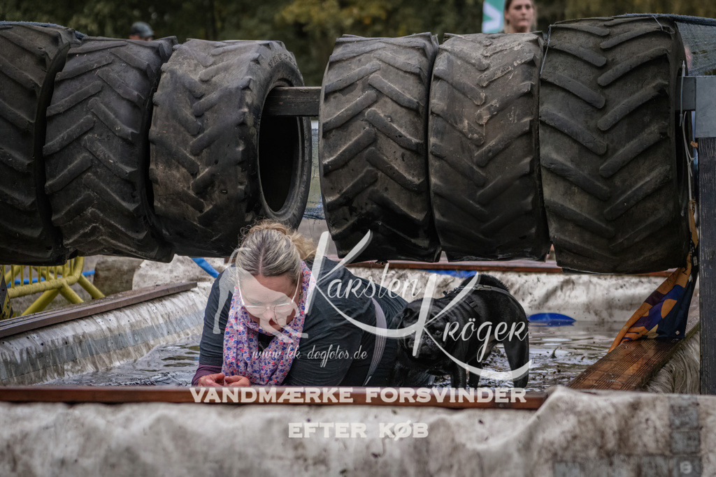 1705_ZZ94843 | kk-dogfotos