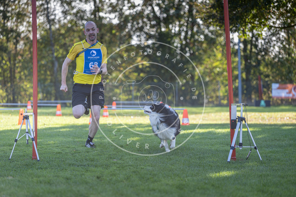Pfotenfotografie.de_DV3A3194 | Hundefotografie, Tierfotograf, Pfotenfotografie, Fotoshooting Hund, Hunde Portrait, Hundesport, Hundeportraits, Heideshooting, Hunde, Sportfotograf, Hundefotograf, Turnierhundsport, THS, canicross - Realisiert mit Pictrs.com