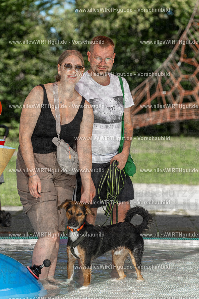 Hundeschwimmen_Volksbad_2026-allesWIRTHgut_Tierfotografie-2609061400-7R501024 | Professionelle Tierfotografie in Mönchengladbach von Daniel Wirth (allesWIRTHgut). Liebevolle & natürliche Bilder von Hunden & Katzen für unvergessliche Erinnerungen.