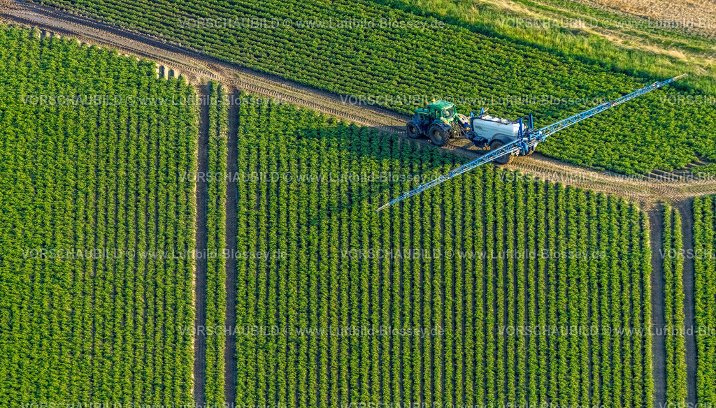 Werl230807384 | Luftbild, Feldarbeit mit Landmaschinen, besprühen von Feldern, Sönnern, Werl, Werl-Unnaer Börde, Nordrhein-Westfalen, Deutschland