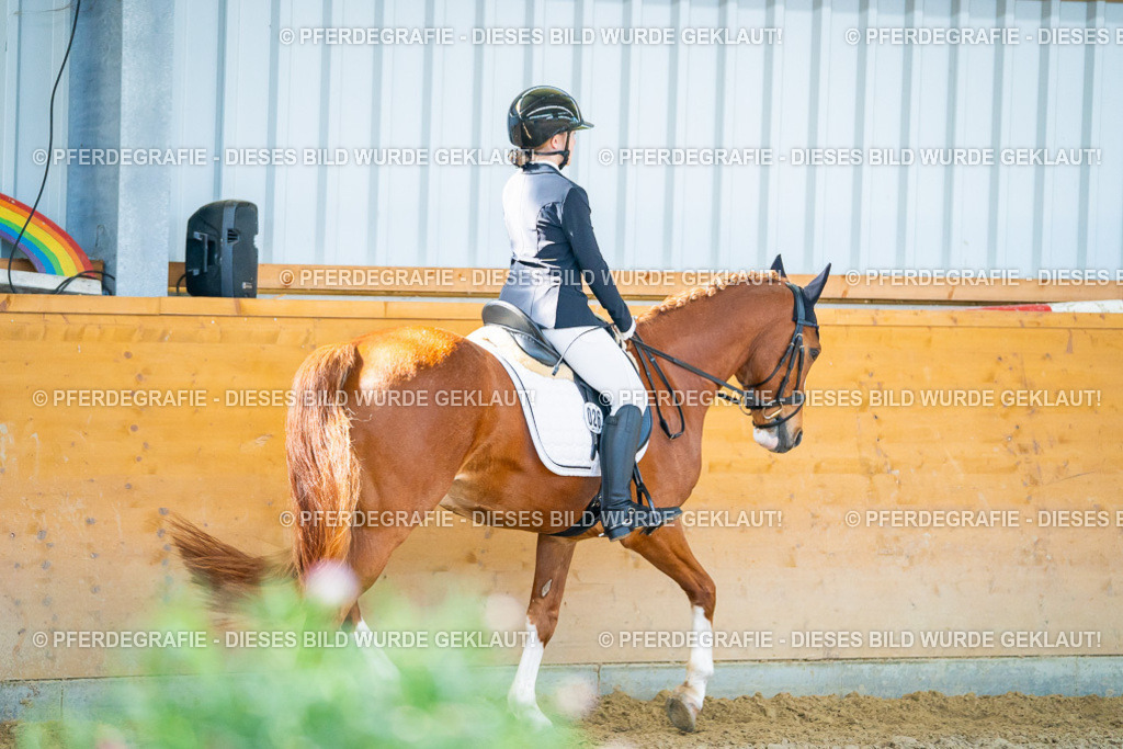 DSC06797 | Pferdegrafie