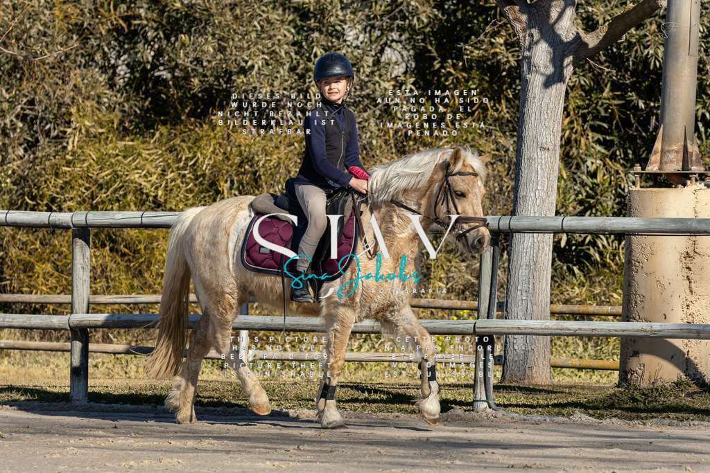 IMG_7986 | s-jay-photography - Realisiert mit Pictrs.com