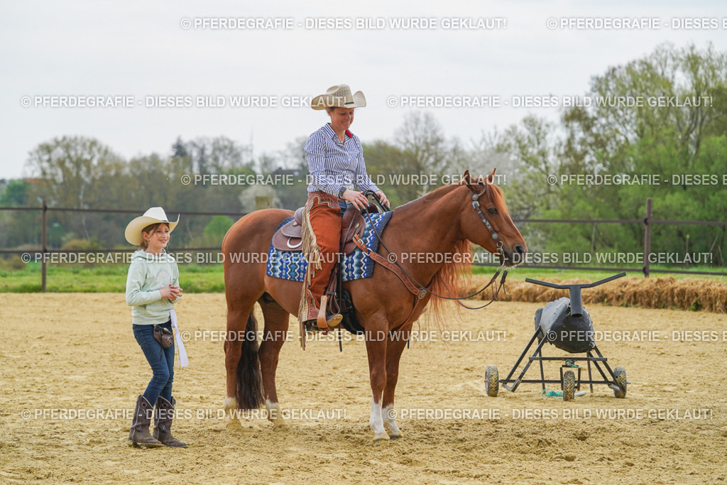 DSC07932 | Pferdegrafie