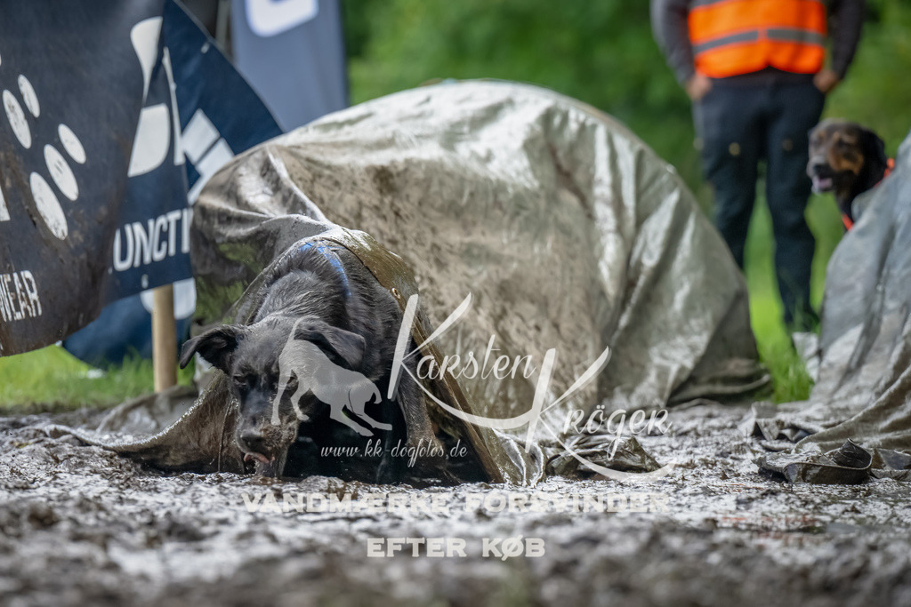 1153_ZZ90057-Bearbeitet | kk-dogfotos