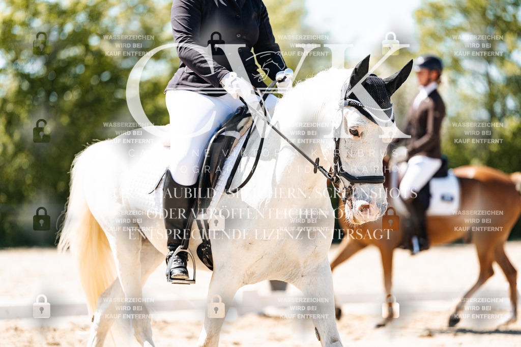 CK905507 | Turnierfotografie Pferdefotografie Trier Rheinland-Pfalz Pferdesport Reitsport Tierfotografie Sportfotografie Pferdevideo Pferdevideografie Equestrianvideography equestrianphotography  - Realisiert mit Pictrs.com