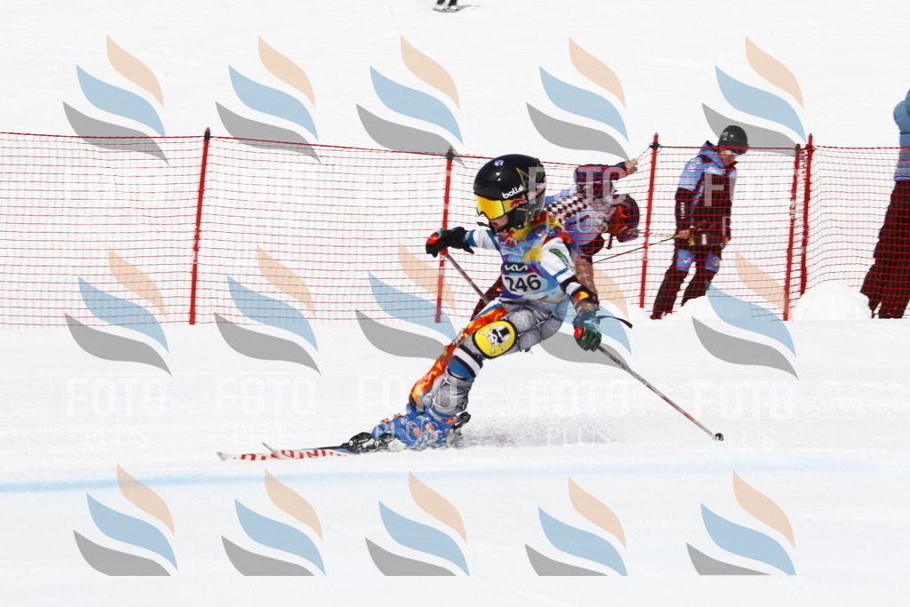 _U3G6230 | holidayphoto