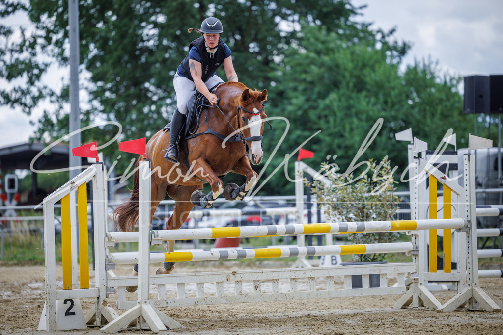 20260705-_3LI5895 | Tierfotografie Pferde, Hunde, Katzen, Haustiere.
Turnierfotografie Reitturniere, Reiten, Springreiten, Dressur in Hanau, dem Main-Kinzig-Kreis und dem Rhein-Main- Gebiet um Frankfurt