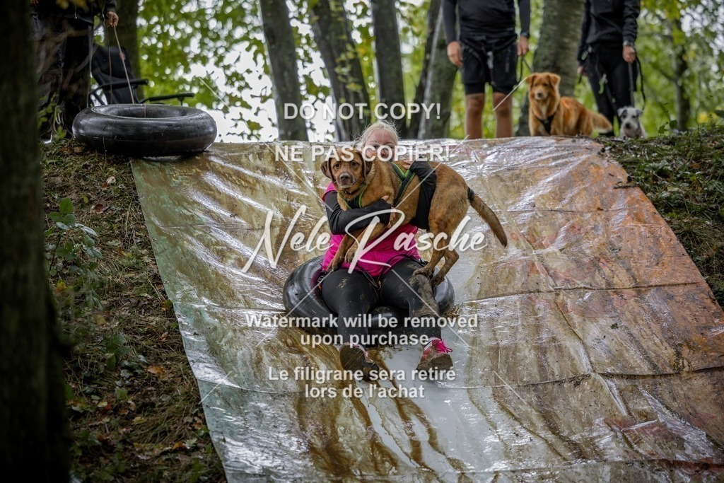 nelerasche_Hunsrück_Sa1430-1500_205-final | nelerasche