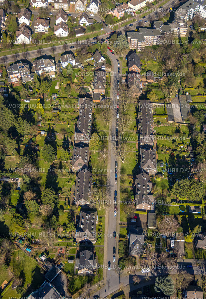 Gelsenkirchen240300282 | Luftbild, Wohngebiet Mehrfamilienhäuser mit Kleingärten entlang der Droste-Hülshoff-Straße, Buer, Gelsenkirchen, Ruhrgebiet, Nordrhein-Westfalen, Deutschland