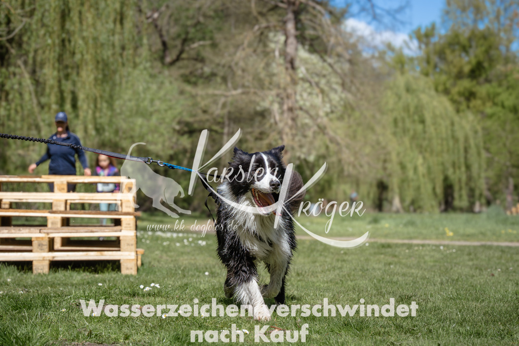 1244_ZZ93880 | kk-dogfotos
