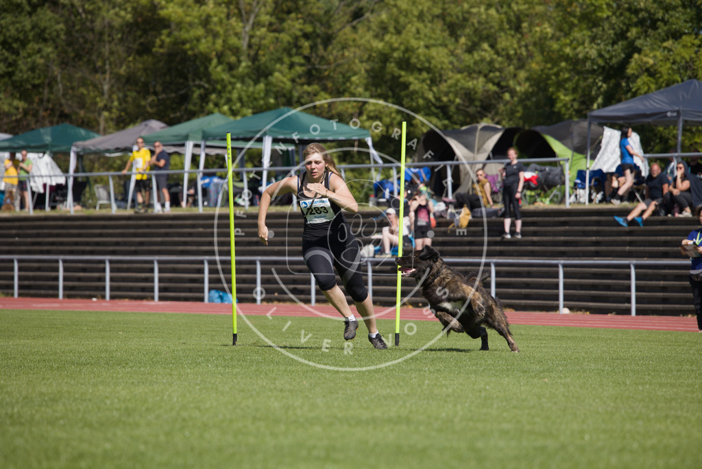 0L8A6872 | Hundefotografie, Tierfotograf, Pfotenfotografie, Fotoshooting Hund, Hunde Portrait, Hundesport, Hundeportraits, Heideshooting, Hunde, Sportfotograf, Hundefotograf, Turnierhundsport, THS,  - Realisiert mit Pictrs.com