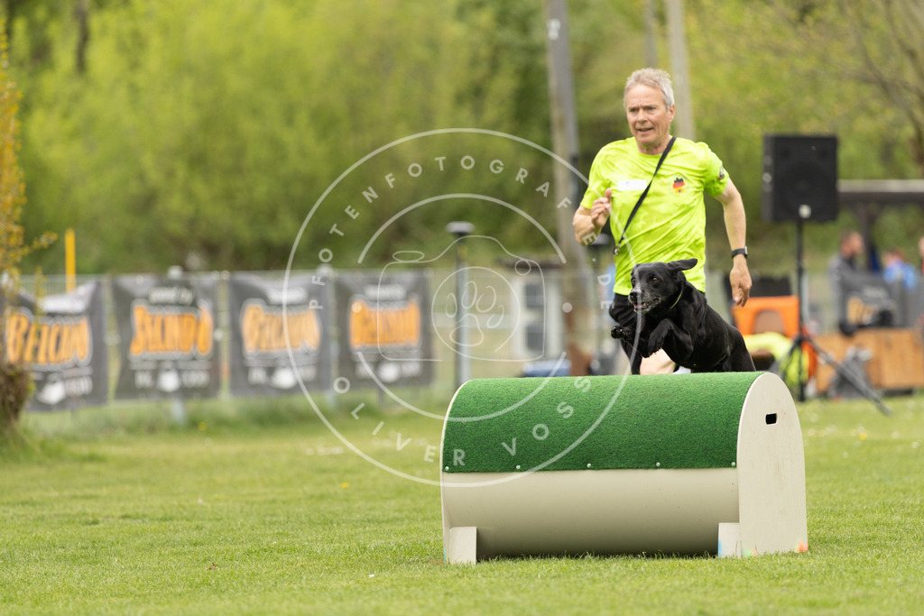 Pfotenfotografie_DV3A9148 | Hundefotografie, Tierfotograf, Pfotenfotografie, Fotoshooting Hund, Hunde Portrait, Hundesport, Hundeportraits, Heideshooting, Hunde, Sportfotograf, Hundefotograf, Turnierhundsport, THS,  - Realisiert mit Pictrs.com