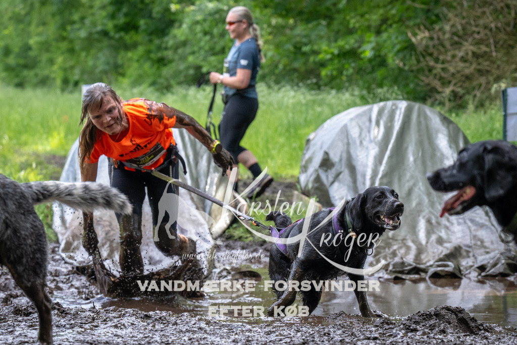 1253_ZZ94115 | kk-dogfotos