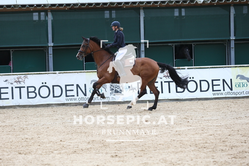 DL2Q4942 | Willkommen bei Brunnmayr - Design & Fotografie – Ihrem Spezialisten für Reitturniere und Pferdeveranstaltungen in Oberösterreich, Salzburg und Bayern! Seit über 17 Jahren sind wir leidenschaftlich dabei.