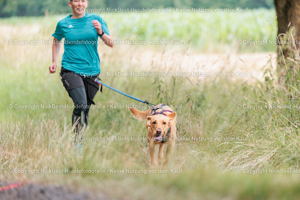 THS-Quakenbrück-2026-Nickbest-Hundefotografie-0963 | Dein Hund! Dein Moment! Deine Erinnerungen! Hundefotografie in Bremen Blumenthal. Ich fange die besonderen Momente deines Vierbeiners ein – ob Indoor mit Blitzanlage oder in der freien Natur. Sicher dir dein Moment und dein Termin für eure Erinnerungen.