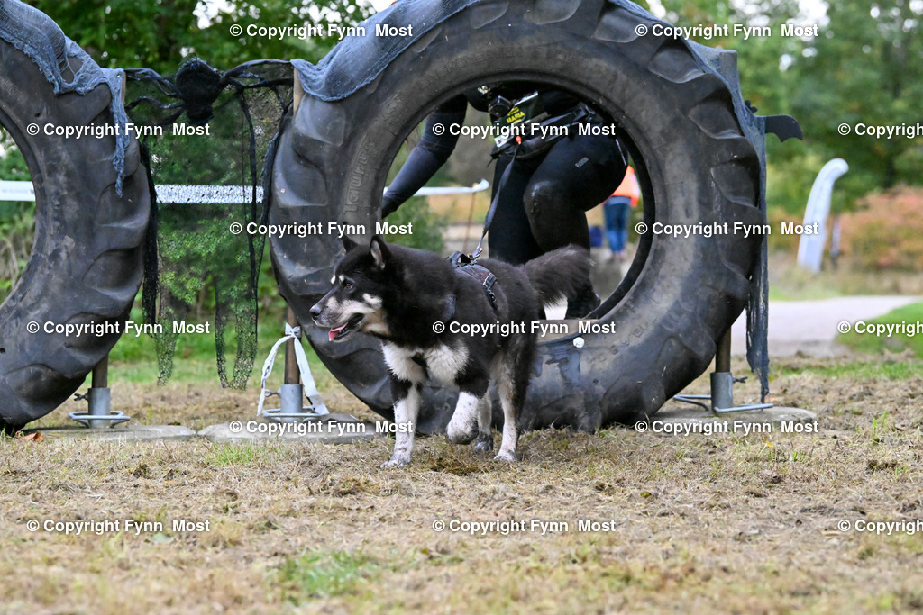 DSC_7959 | Hallo und herzlich Willkommen auf meiner Shop-Seite Fynn Most.

Ich wünsche Dir viel Spaß beim stöbern durch die Bilder, wenn Du Fragen hast oder Bilder vermisst, kannst du mir gerne eine Nachricht schreiben. - Realisiert mit Pictrs.com