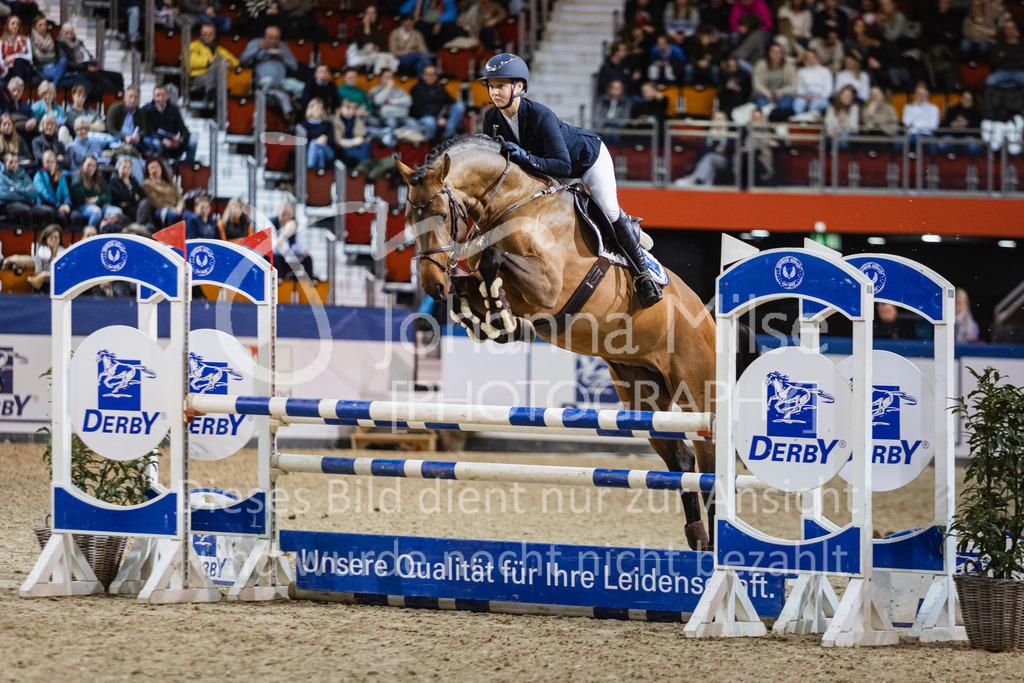 250108_Muenster_Hengstpräsentation-127 | Deine schönsten Turniermomente als professionelle Fotos! Entdecke hochwertige Pferdesport-Fotografie im Online-Shop. Jetzt Fotos finden & bestellen!
