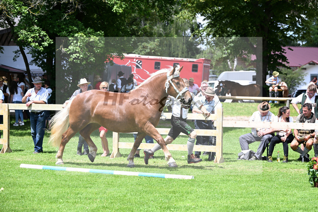 Kat-Nr. 57 Pipa v. Natan_Multerer_22240998 | hf-fotografie - Realizzato con Pictrs.com