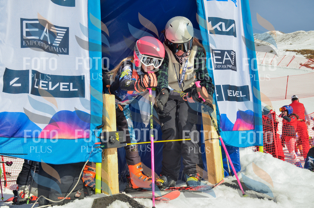 _ELE5056 | holidayphoto