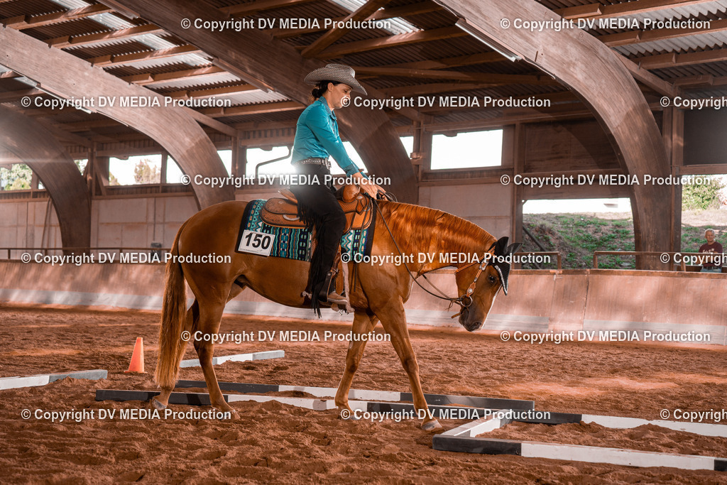 NE200117 | dv-media-shop - Realisiert mit Pictrs.com