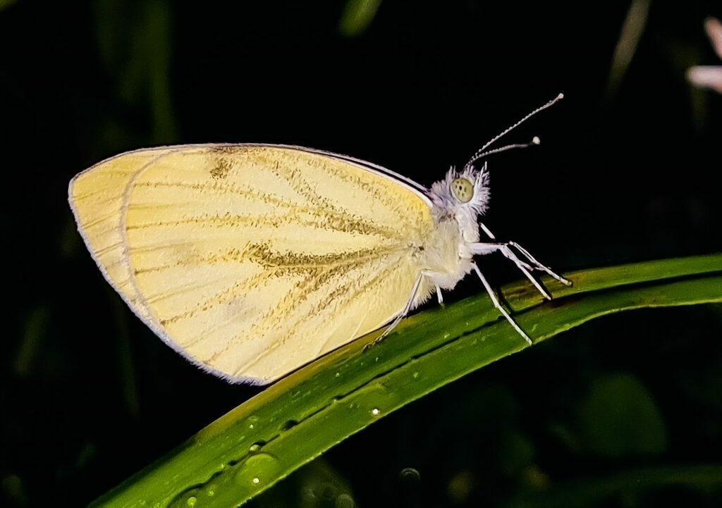 PSX_20220801_225642 | mtkfoto_ - Realisiert mit Pictrs.com